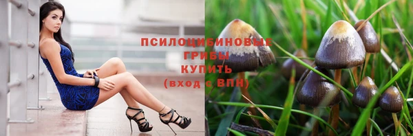 таблы Гусиноозёрск