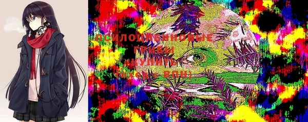 бутират Гусь-Хрустальный