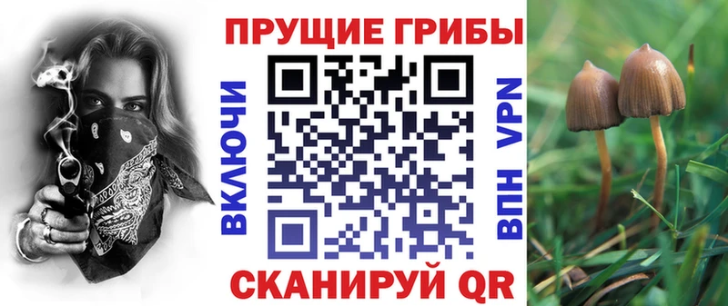 OMG ТОР  Дзержинск  Галлюциногенные грибы Magic Shrooms 